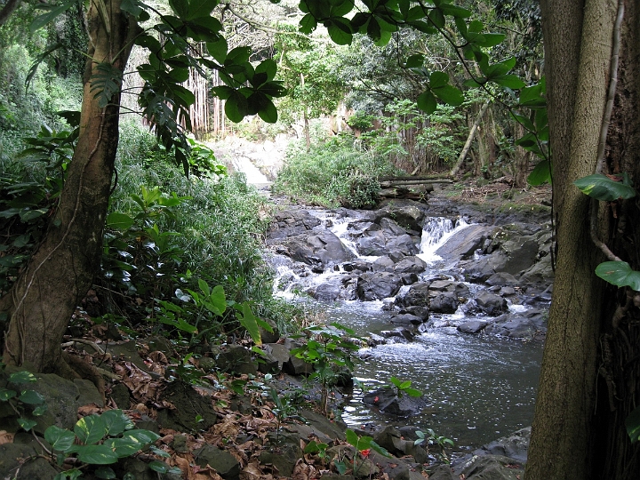 15 hike near Kapena Falls.jpg